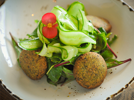 Falafel Salad
